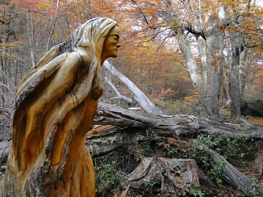 Un bosque de lengas, que se incendió en la década del 70, cobró vida con sus árboles secos convertidos en excelentes esculturas, a 1400 metros de altura.
